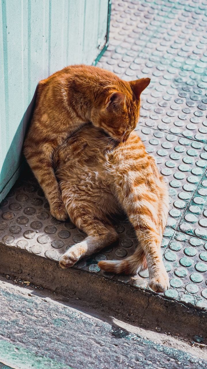 Foto Naturaleza