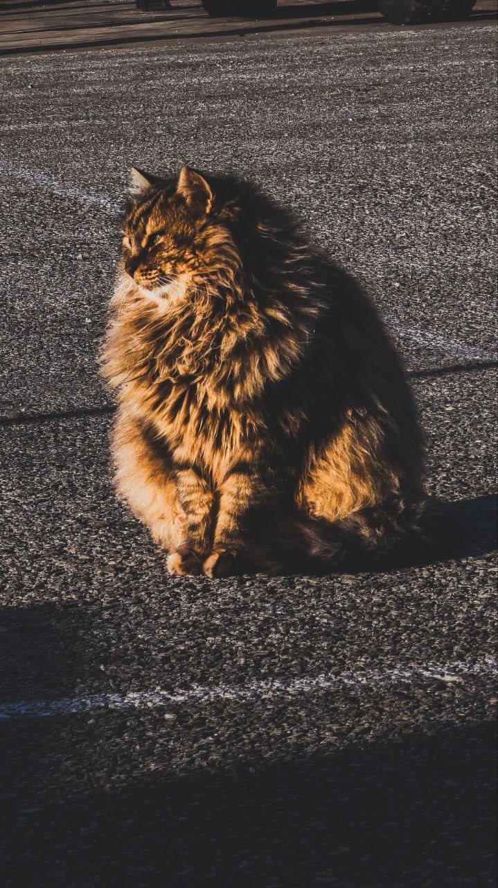 Foto Naturaleza